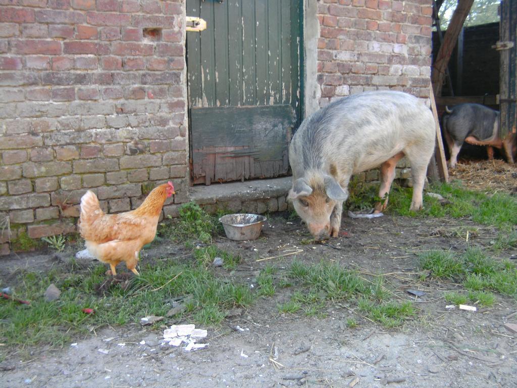 Farm Stay Luythoeve Meeuwen Екстер'єр фото